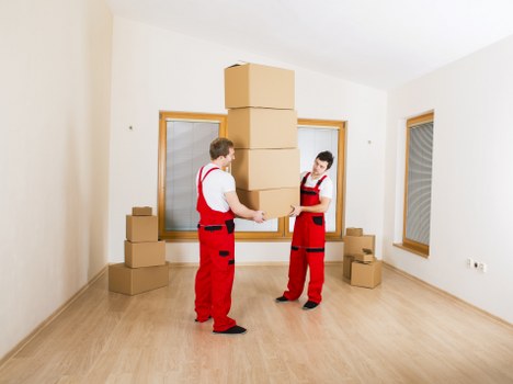 Office relocation packing services in Woodgreen with labelled boxes